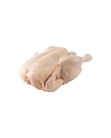 POLLO, ENTERO VACIO REFRIGERADO FAVORITO (1.6 - 1.8 KG)
