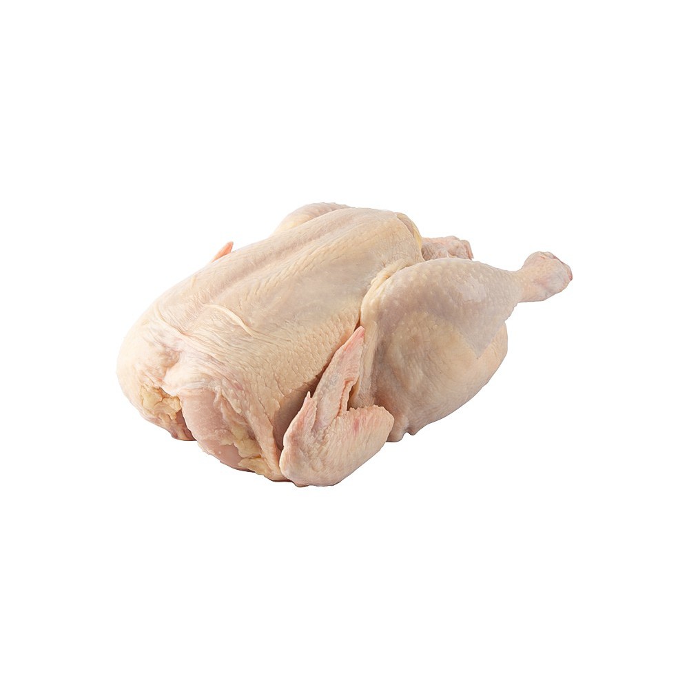 POLLO, ENTERO VACIO REFRIGERADO FAVORITO (1.6 - 1.8 KG)