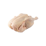 POLLO, ENTERO VACIO REFRIGERADO FAVORITO (1.6 - 1.8 KG)