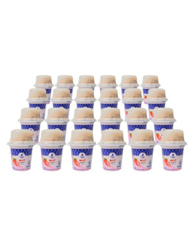 YOGURT FRUTILLA MIX TONI CAJA (24 X 180 G)
