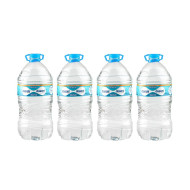 AGUA SIN GAS DASANI CAJA (4 X 6.05 LT)