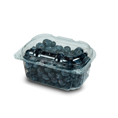 ARANDANOS  CAJA (8 X 125 GR)