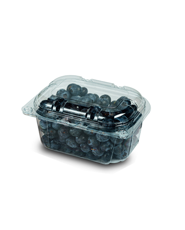 ARANDANOS  CAJA (8 X 125 GR)