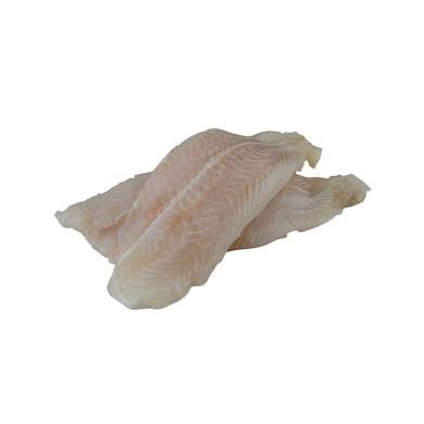 CORVINILLA FILETE PEQUEÑO CONGELADO DEPRODEMAR 10 KG