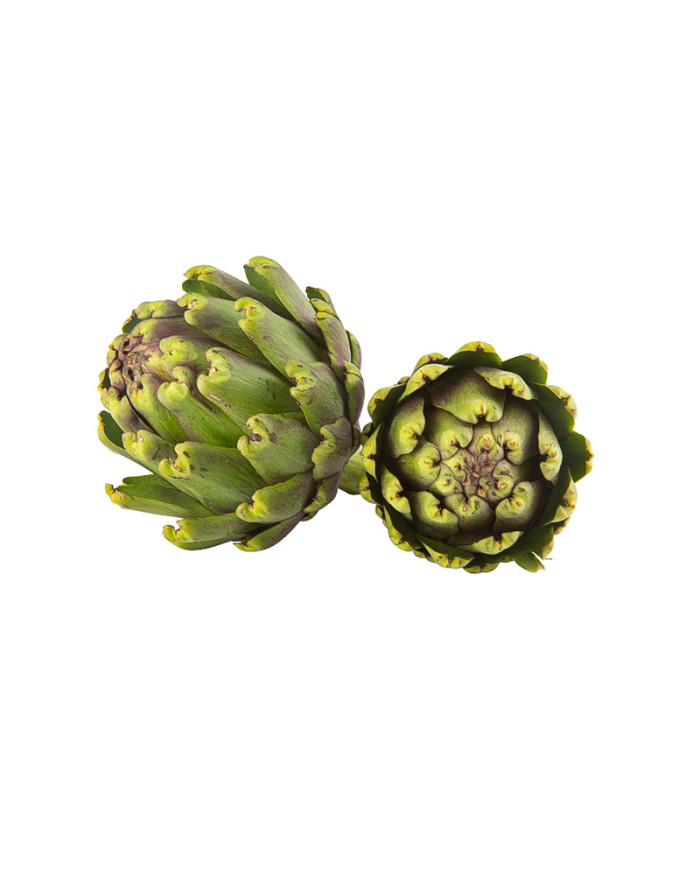 ALCACHOFA POR KG