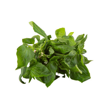 ALBAHACA POR KG