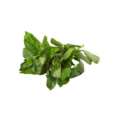 ALBAHACA ATADO 30 G