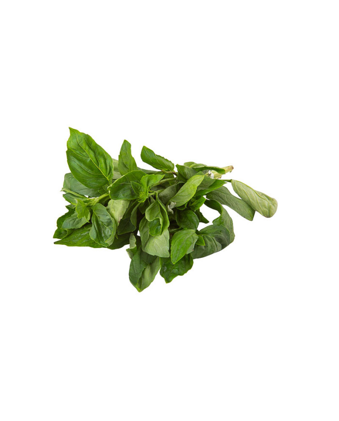 ALBAHACA ATADO 30 G