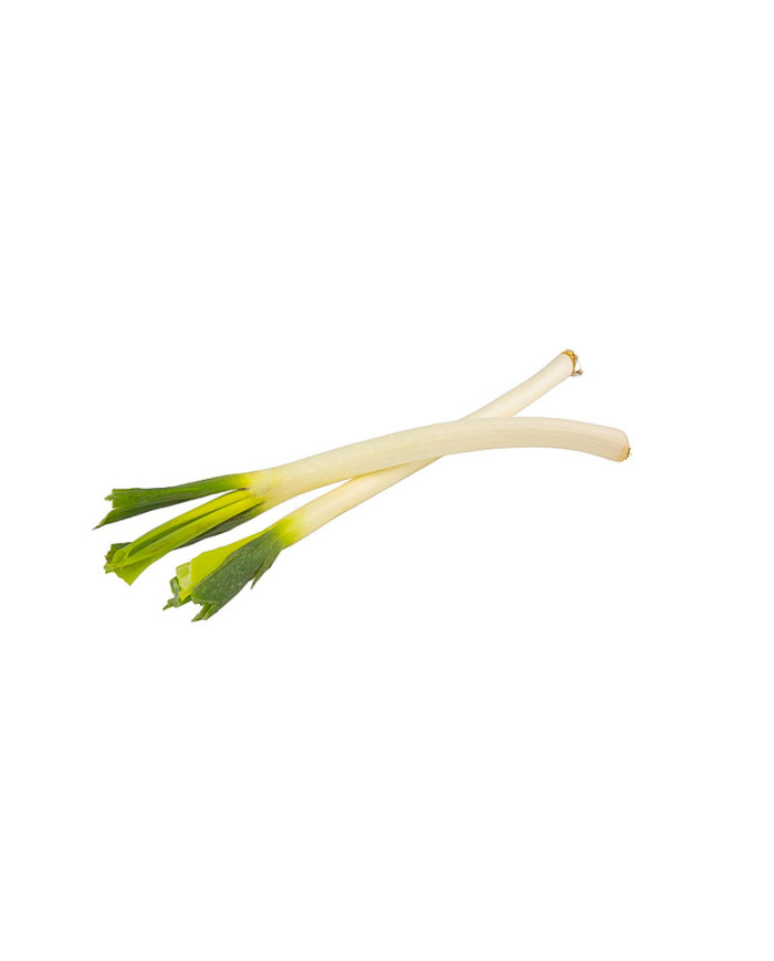 CEBOLLA BLANCA POR KG
