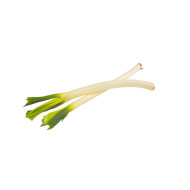 CEBOLLA BLANCA POR KG