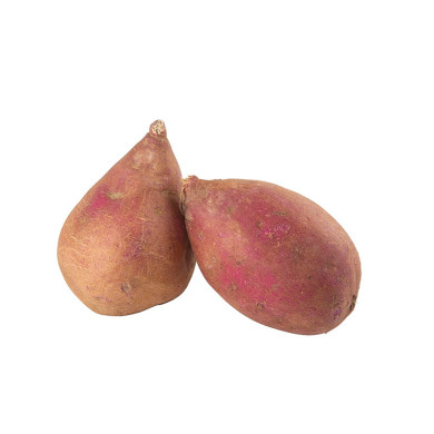 CAMOTE MORADO POR KG