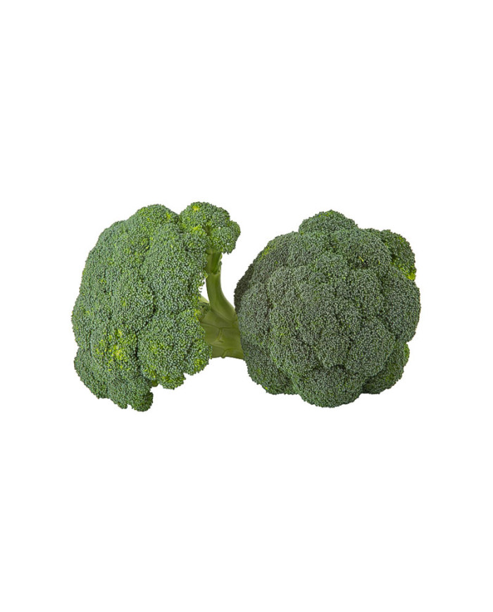 BROCOLI POR KG