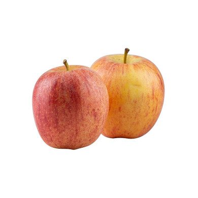 MANZANA GOLD PQ. UND