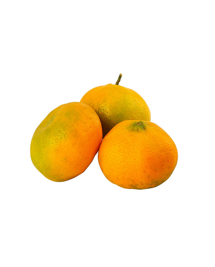 MANDARINA POR KG