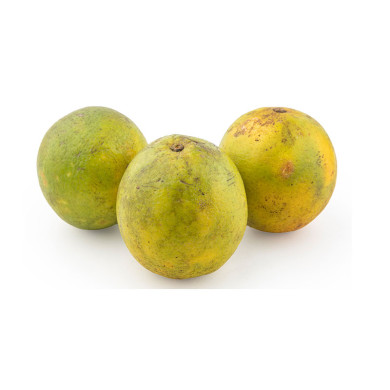 NARANJA SELECCIONADA VERDE POR KG