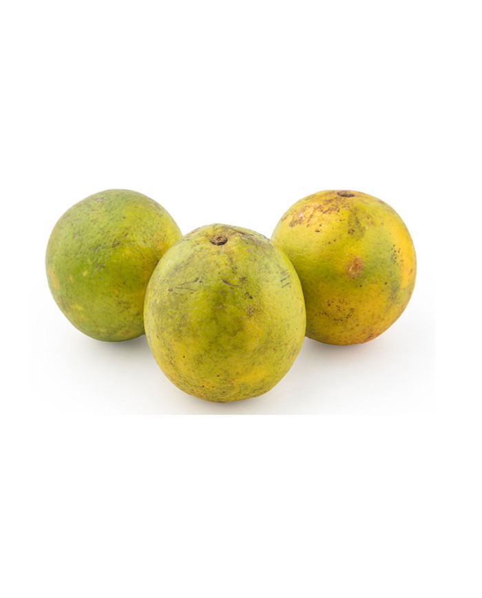 NARANJA SELECCIONADA VERDE POR KG