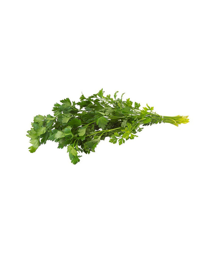 PEREJIL LISO ATADO 500 G