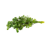 PEREJIL LISO ATADO 500 G