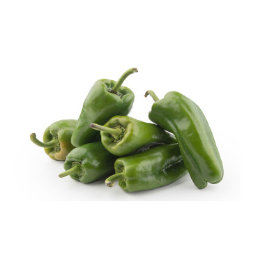 PIMIENTO VERDE SELECCIONADO POR KG