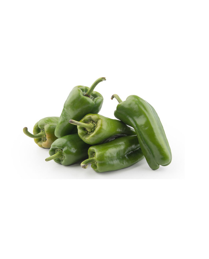 PIMIENTO VERDE SELECCIONADO POR KG