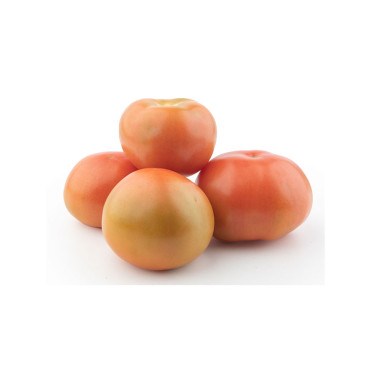 TOMATE RIÑÓN SELECCIONADO MADURO POR KG