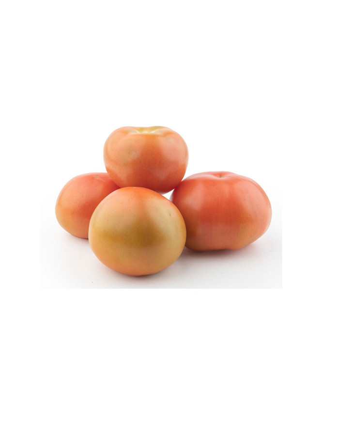 TOMATE RIÑÓN SELECCIONADO MADURO POR KG