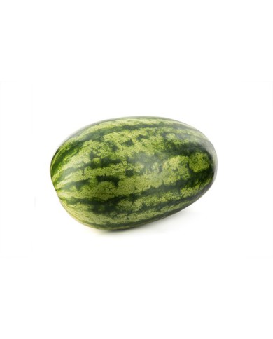 SANDIA PERUANA UNIDAD