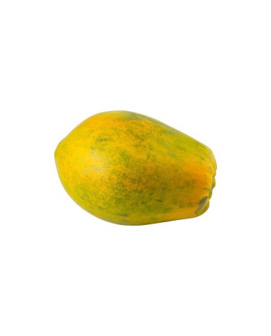 PAPAYA PINTONA UNIDAD