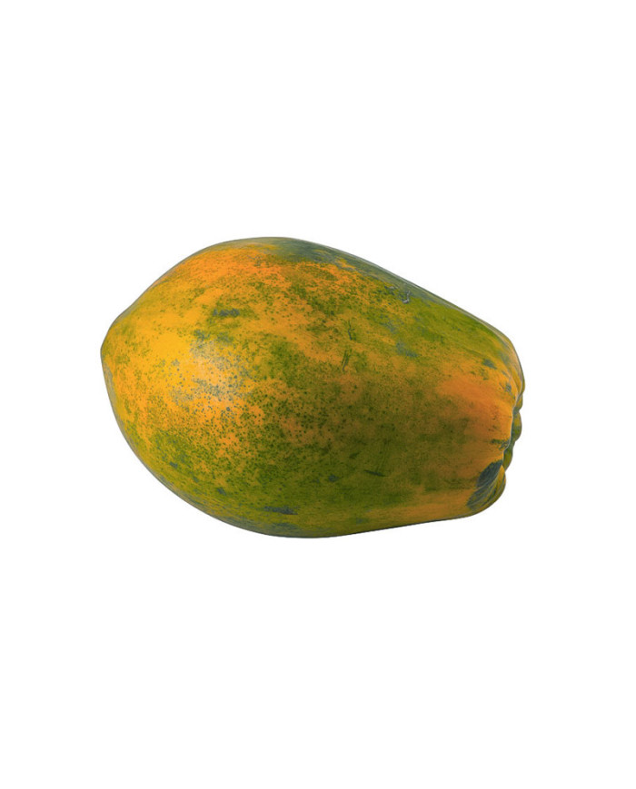 PAPAYA PINTONA UNIDAD