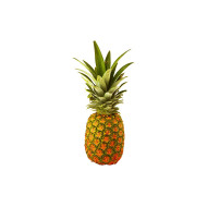 PIÑA MADURA UNIDAD