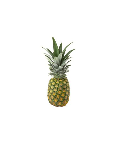 PIÑA PINTONA UNIDAD