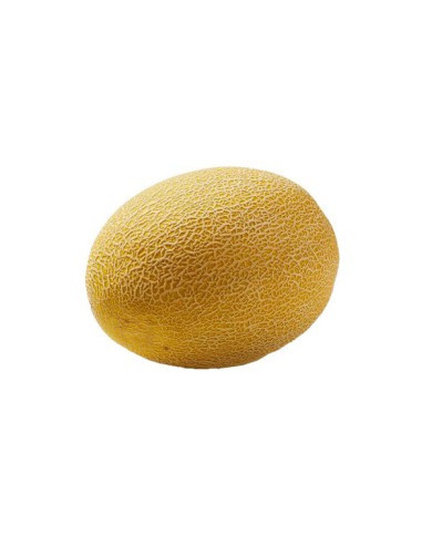 MELON PINTON UNIDAD