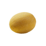 MELON PINTON UNIDAD