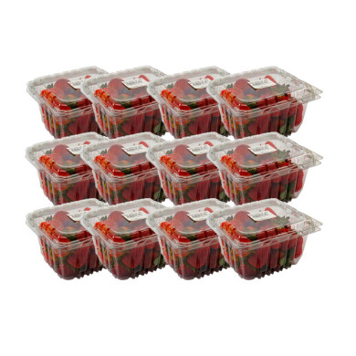 FRUTILLA MALANS CAJA (12 X 250 G)