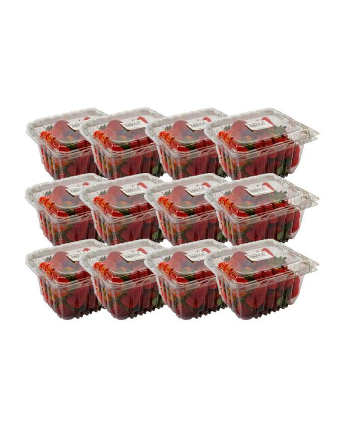 FRUTILLA MALANS CAJA (12 X 250 G)