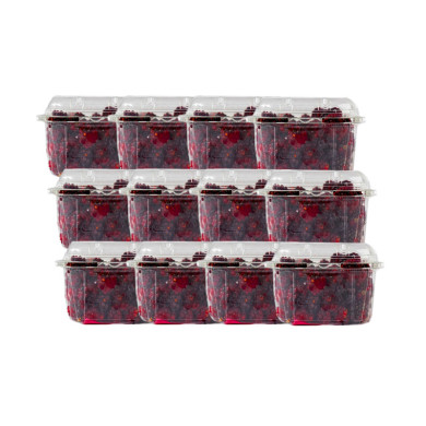 MORA EMPACADA CAJA (12 X 250 G)