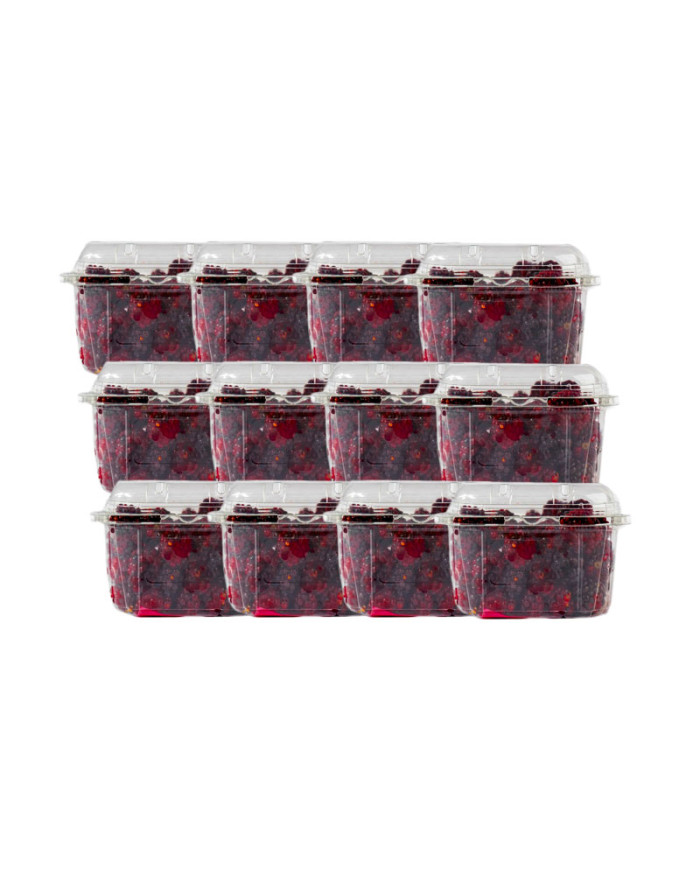 MORA EMPACADA CAJA (12 X 250 G)