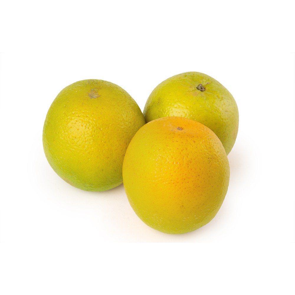 NARANJA PINTONA AL GRANEL 1 KG
