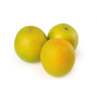 NARANJA PINTONA AL GRANEL 1 KG