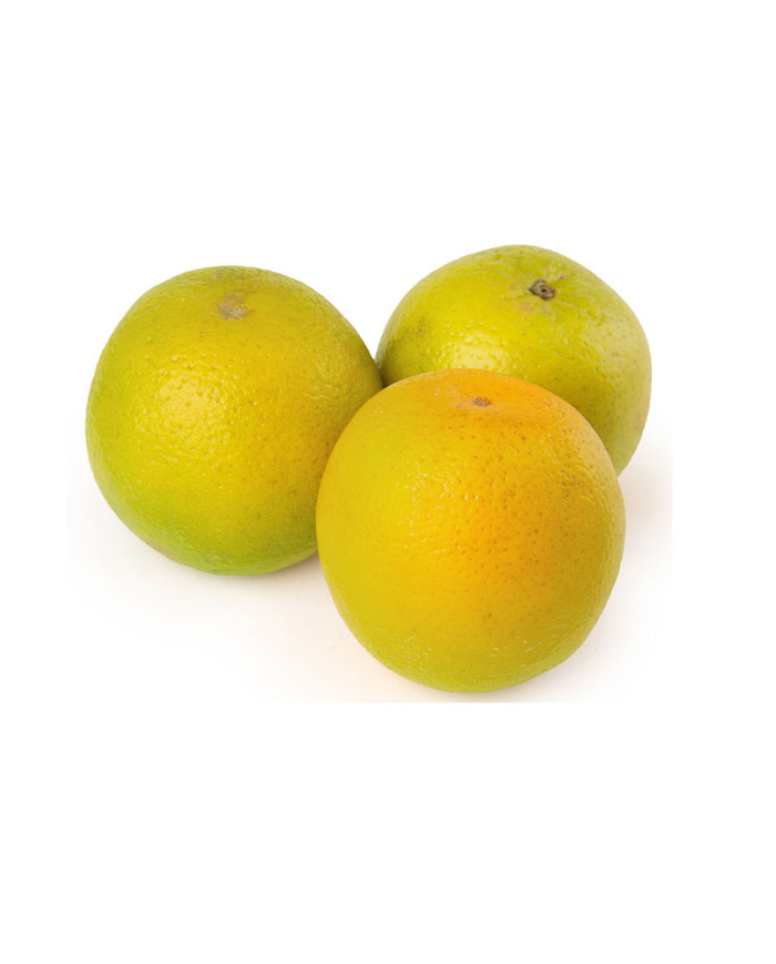 NARANJA PINTONA AL GRANEL 1 KG