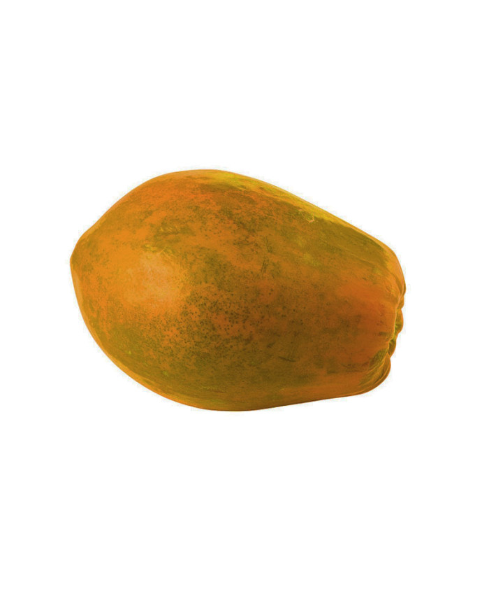 PAPAYA MADURA UNIDAD