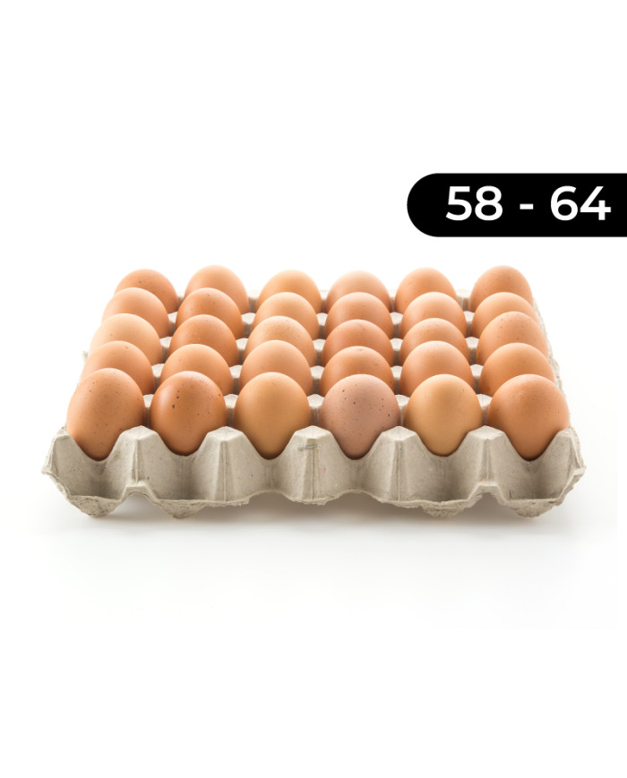 HUEVO GRANDE YOLKIE (58-64) CARTON X30