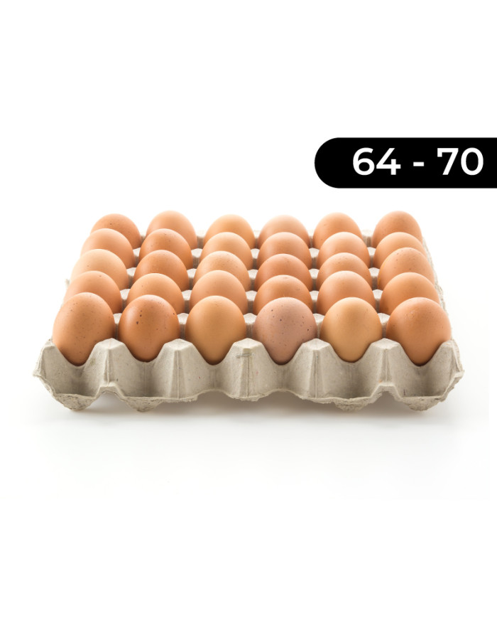 HUEVO EXTRA GRANDE YOLKIE (64-70) CARTON X30
