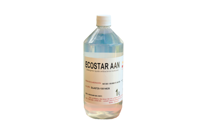 DETERGENTE ECOSTAR AAN 1 KG