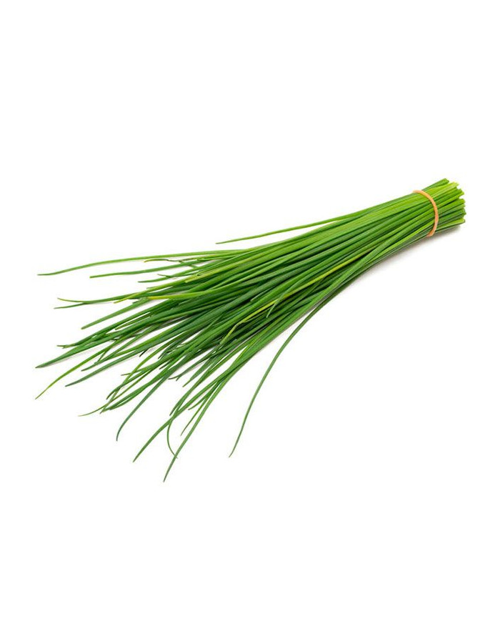 HIERBA LUISA 1 KG