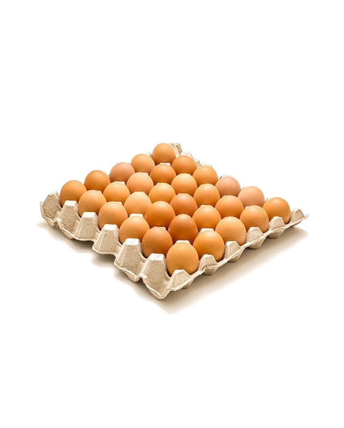 HUEVOS AVITO CUBETA (58-64) GR X30