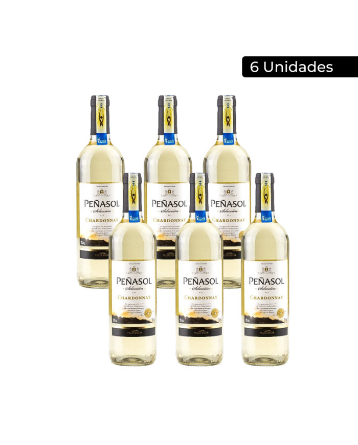 VINO BLANCO CHARDONNAY PEÑASOL CAJA (6 X 750 ML)