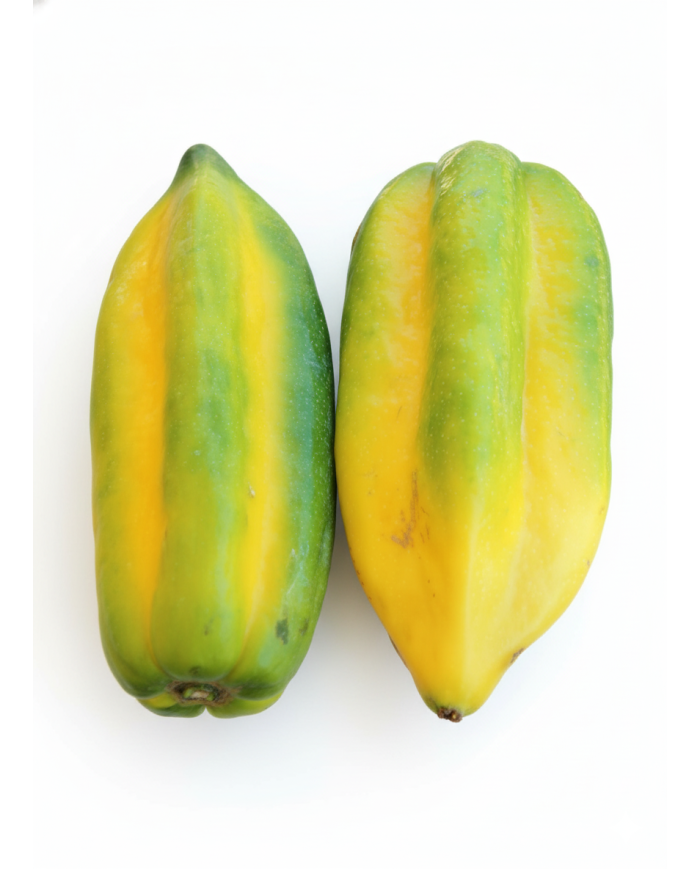 BABACO PINTON UNIDAD