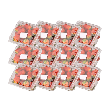 FRUTILLA MALANS CAJA (12 X 250 G)