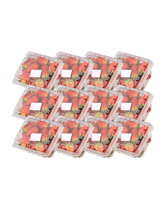 FRUTILLA MALANS CAJA (12 X 250 G)